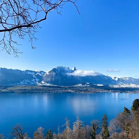 Panorama Boutique Apartment With Complimentary Spa Access At Solbad Hotel Sigriswil Exterior photo
