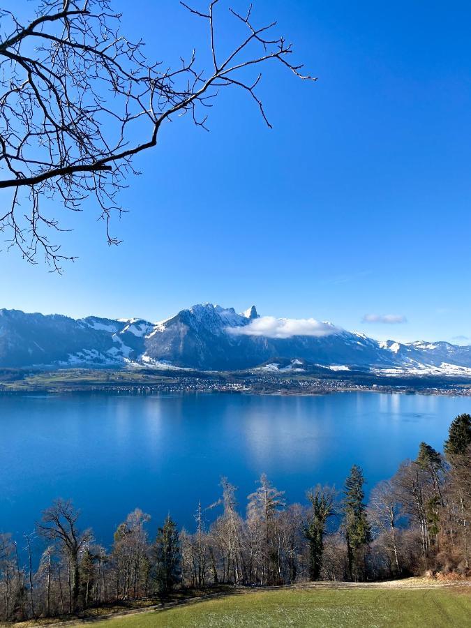 Panorama Boutique Mit Gratis Wellnesseintritt Im Solbad Apartment *